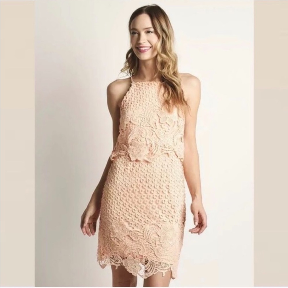 BB Dakota Lace Halter Dress